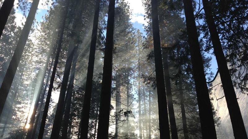 15 Best Outdoor Activities for Summer to Stay Active and Cool