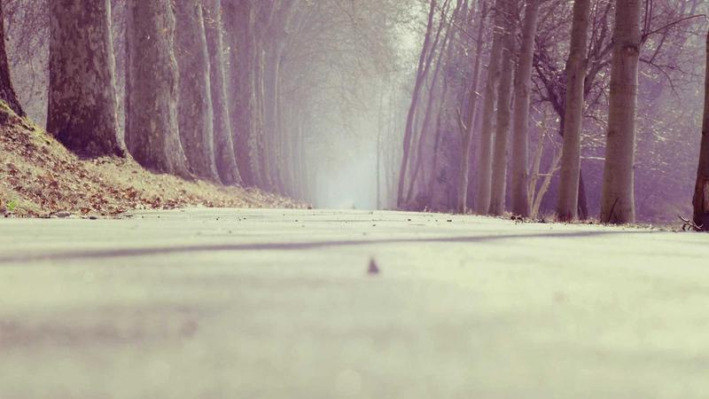 7 Proven Steps to Build a New Habit That Actually Sticks