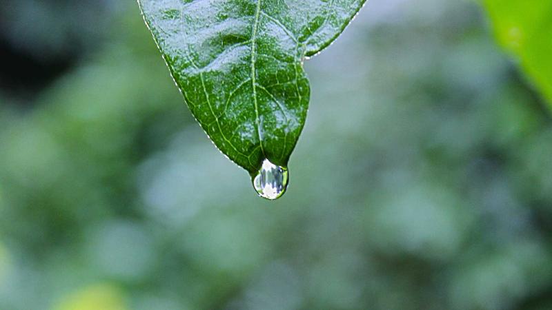 15 Best Car Games for Long Drives to Keep Everyone Entertained