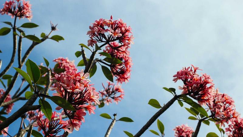 12 Best Foods for Gut Health: A Guide to Better Digestion