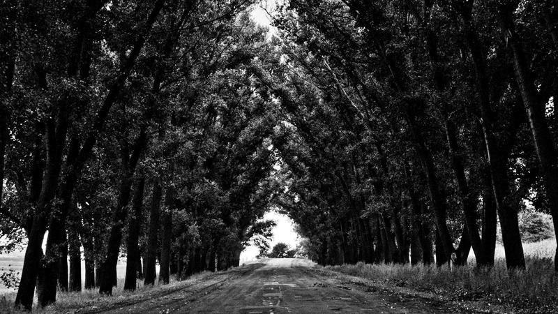 15 Best Free Things to Do While Traveling on a Budget