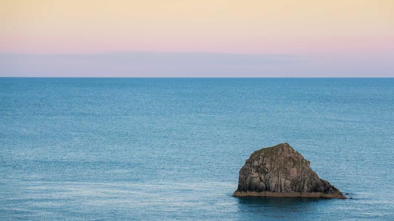 12 Best Low Light Indoor Plants for Low-Energy Living