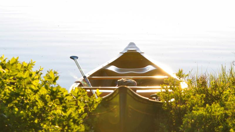 12 Essential Budget Travel Tips for Families to Save Thousands