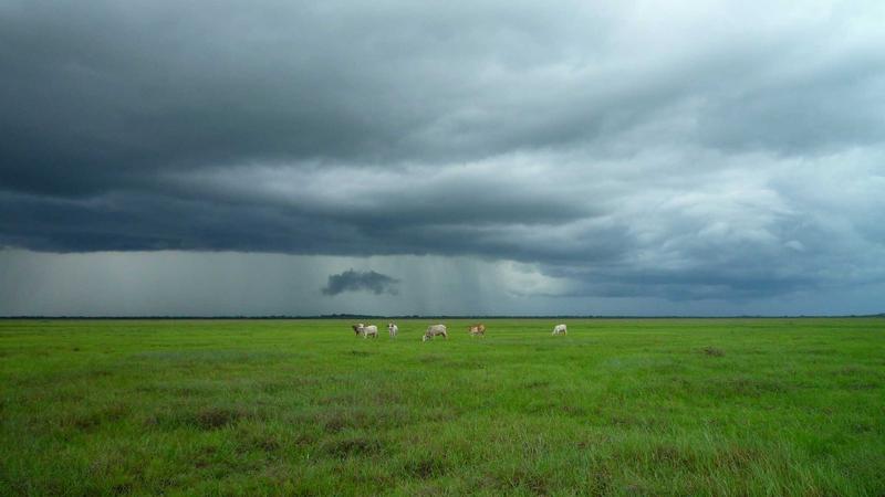 7 Easy DIY Dog Treat Recipes Your Pup Will Absolutely Love