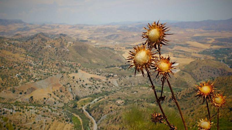 7 Science-Backed Stress Relief Techniques That Actually Work