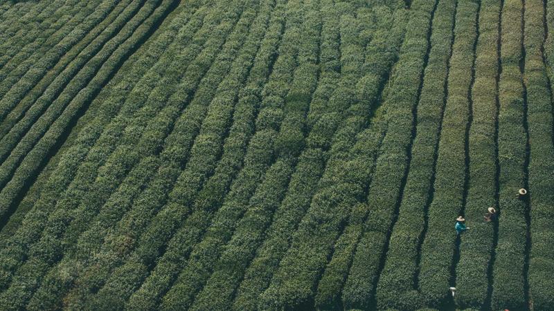 How to Change a Flat Tire in 7 Simple and Safe Steps