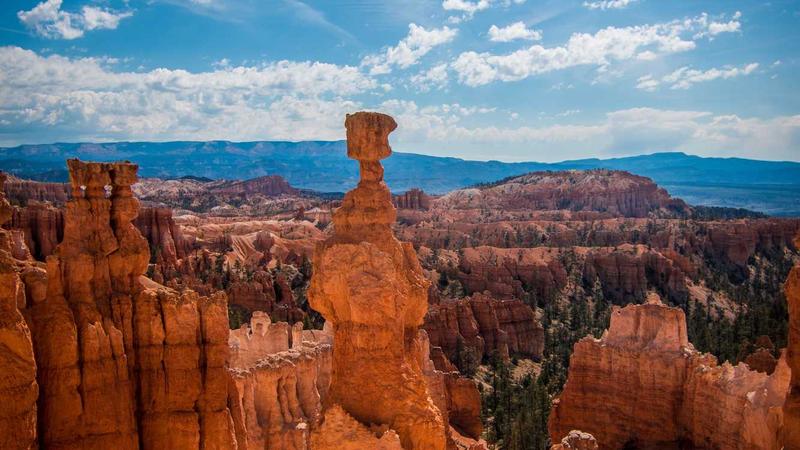 7 Simple Steps to Check Tire Pressure for Better Gas Mileage