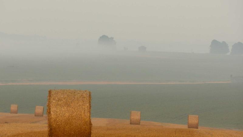 5 Simple Steps to Fix a Leaky Faucet and Save on Your Water Bill