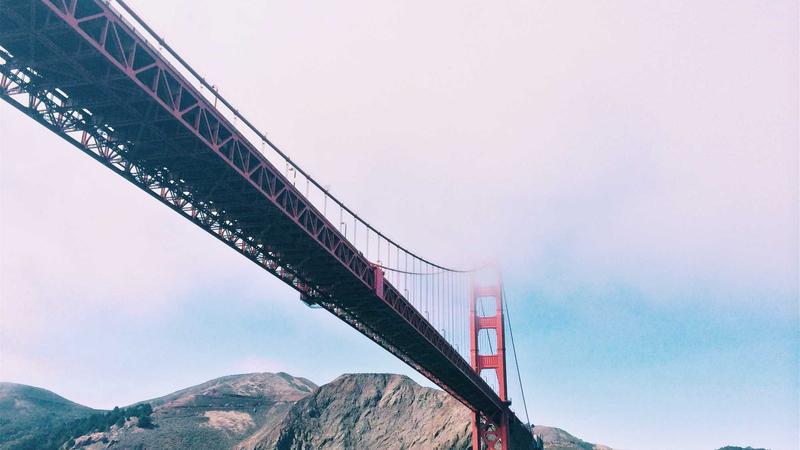 7 Essential Tips for Growing Juicy Tomatoes in Pots Successfully