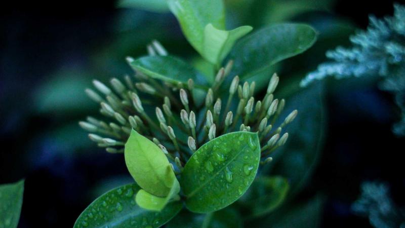 15 Pro Tips on How to Travel on a Budget and See the World