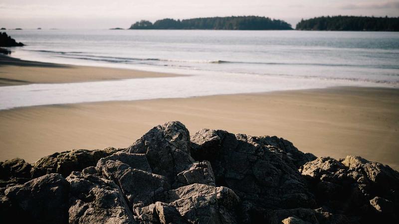 5 Proven Methods to Remove Grass Stains from Jeans Fast