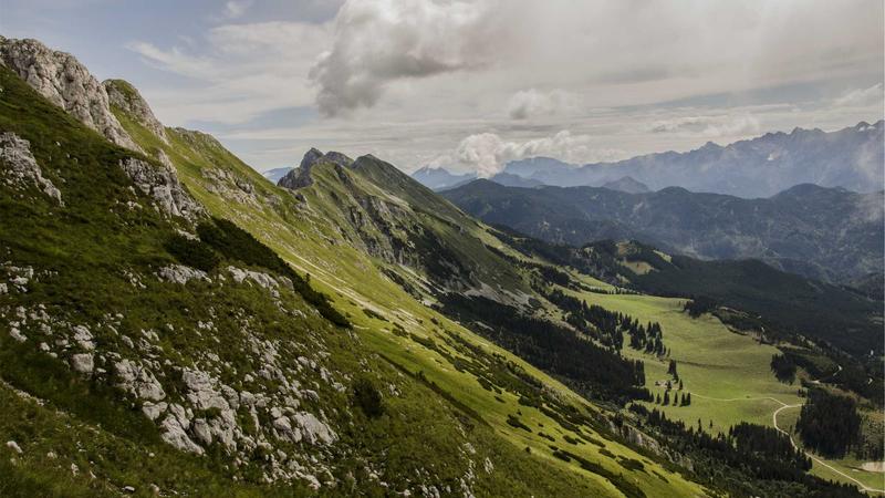 5 Effective Strategies to Stop Your Dog From Barking Today