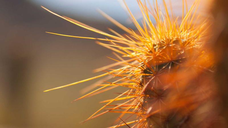 7 Stress-Free Morning Routine Hacks for School Kids and Parents