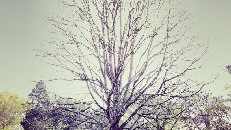 12 Creative Studio Apartment Layout Ideas to Maximize Your Space